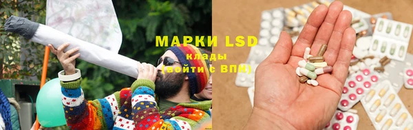 герыч Новозыбков