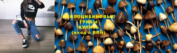 гидра Алексеевка