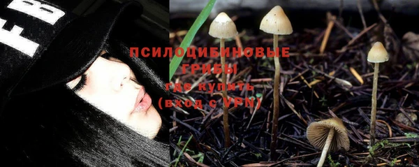 гидра Алексеевка