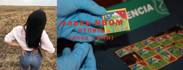 гидра Алексеевка