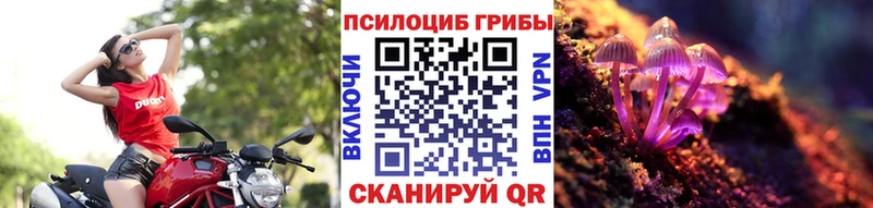 купить  сайты  Михайловск  Галлюциногенные грибы GOLDEN TEACHER 